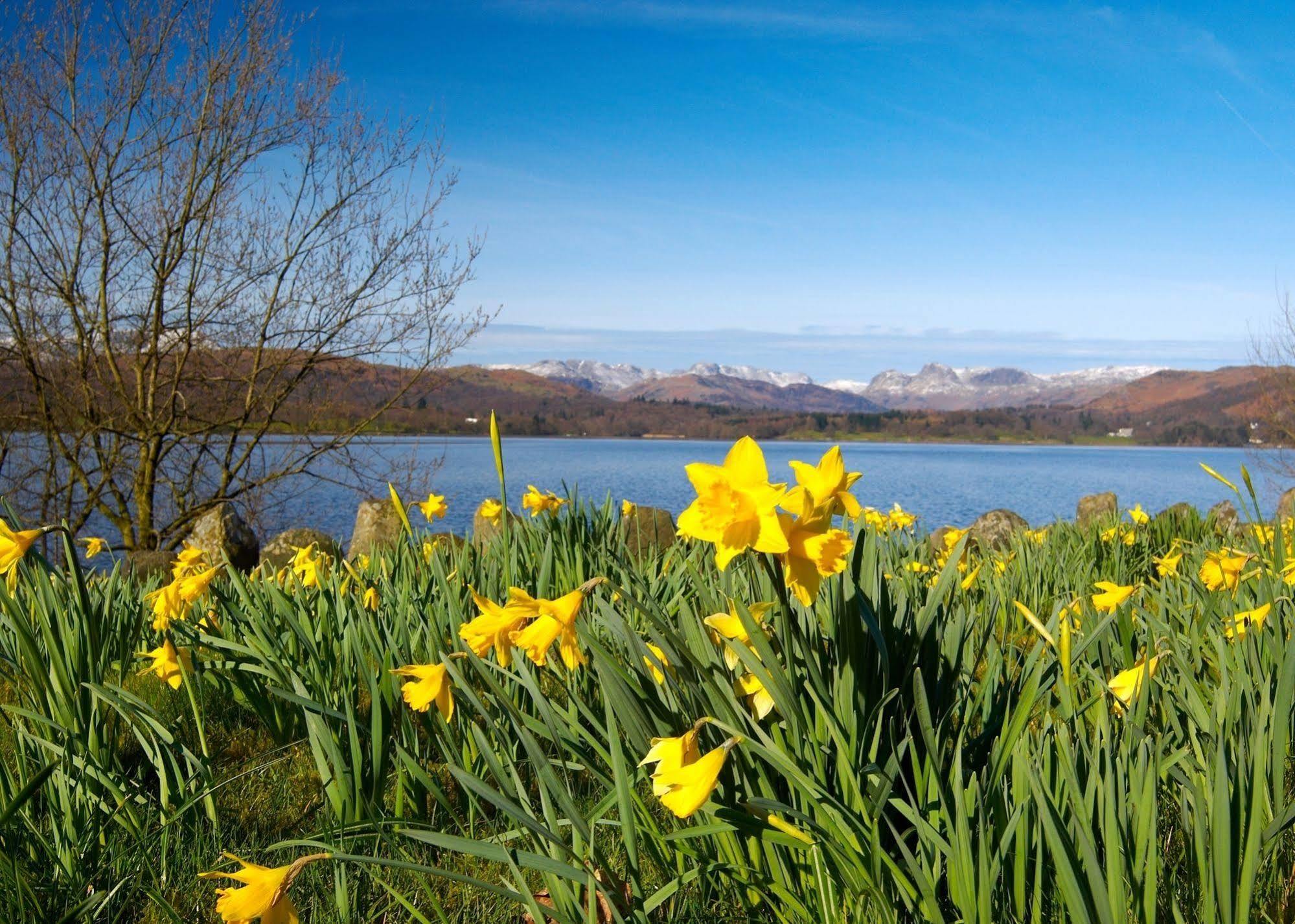 May Cottage B&B Bowness-on-Windermere Exteriör bild