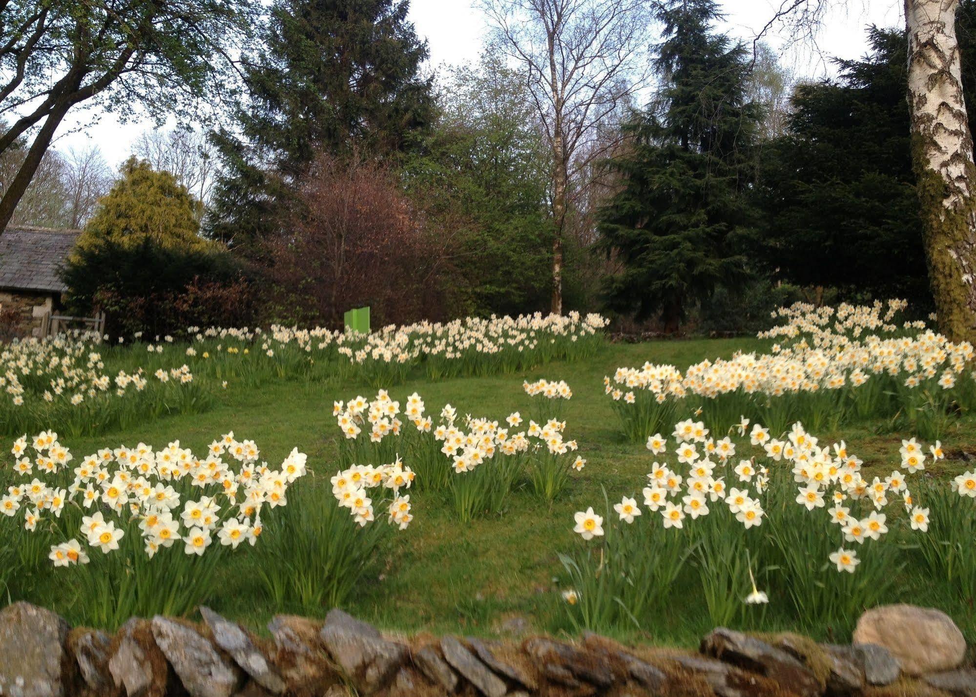 May Cottage B&B Bowness-on-Windermere Exteriör bild